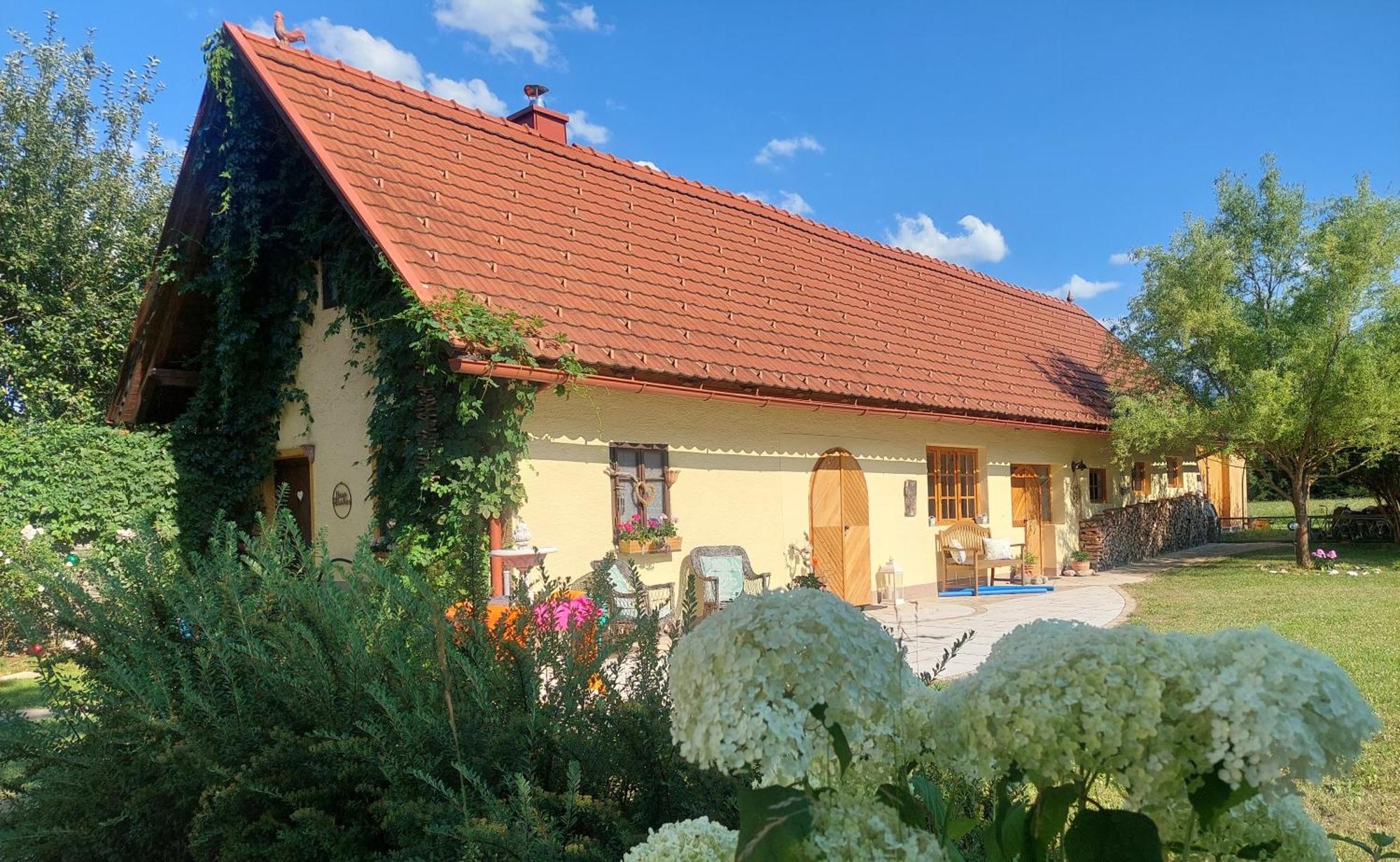 In Traumhafter Lage Mit Naturbadeteich Appartement